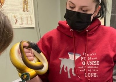 snake vet visit