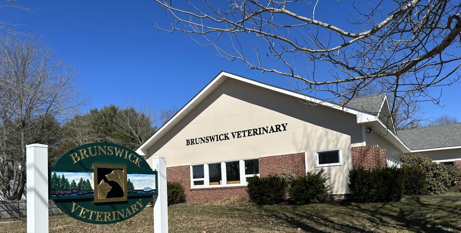 Best Vet In Brunswick, ME Brunswick Veterinary Clinic